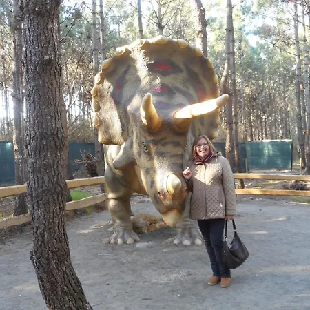 A - 1er Etage * Лориньян