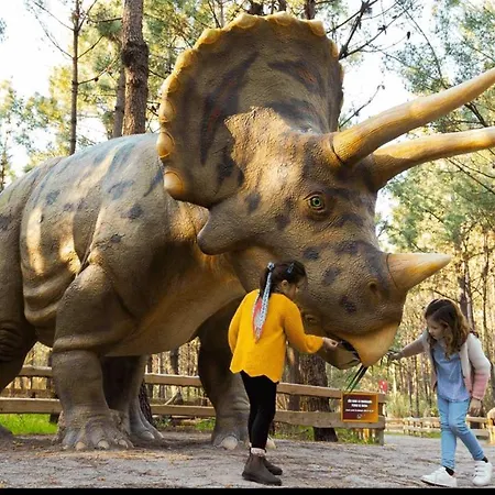 à - 1er étage Appartement